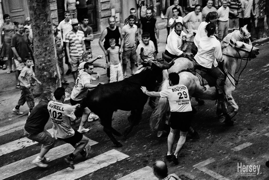 Photo abrivado fête votive uzes © Hersey Photographe Uzès