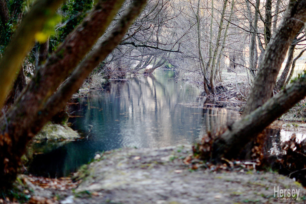 Vallée de l'Eure en hiver Uzès Gard 30 Occitanie Sud de France- rivière bordée d'arbres couverts de givre © Hersey Photographe Uzès